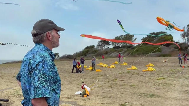 Kite Festival Canceled 