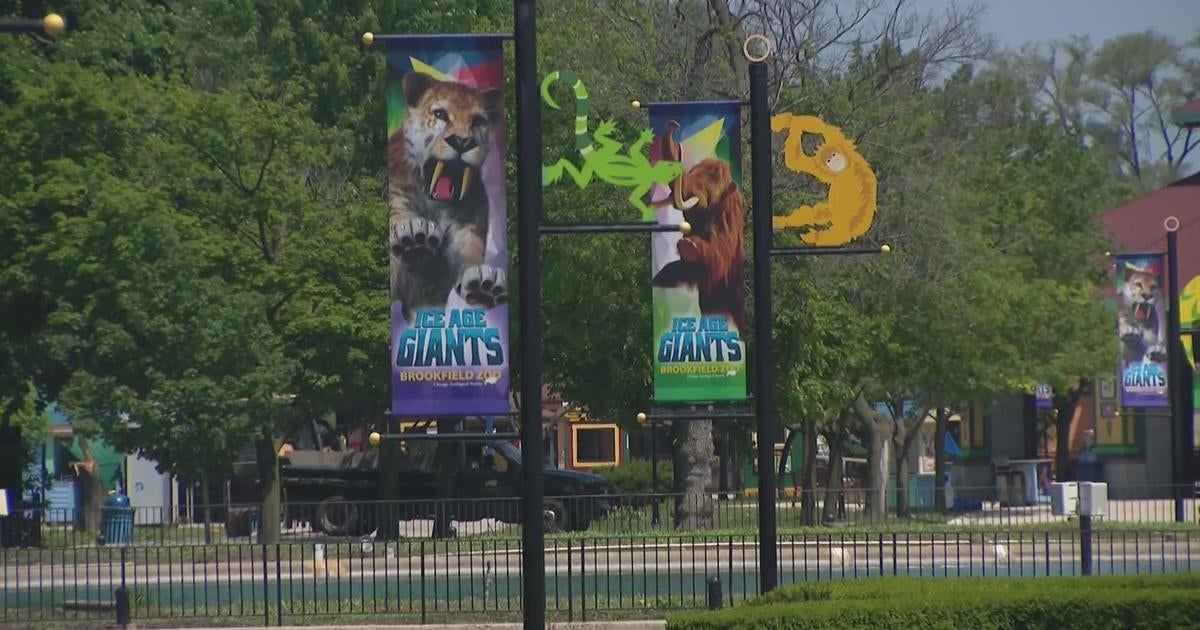 Brookfield Zoo offering free days for kids before they return to school