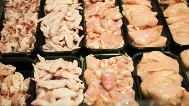 Chicken Salmonella Regulation 