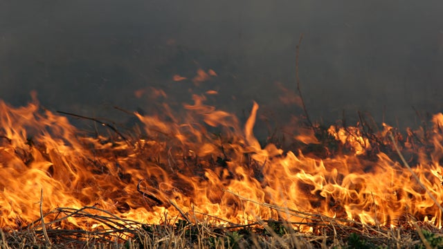 grassfire 