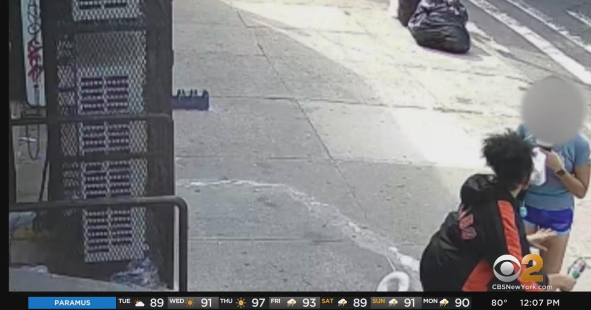 Woman attacked walking dog in Brooklyn - CBS New York