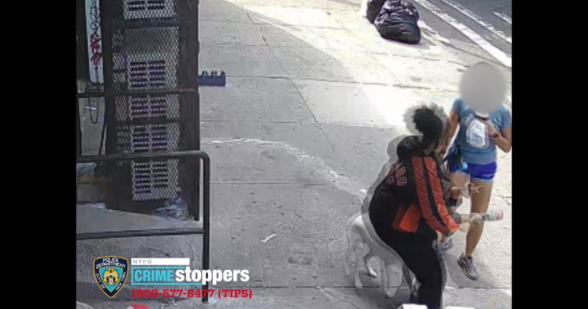 Caught on video: Woman attacked with bottle walking dog in Brooklyn ...