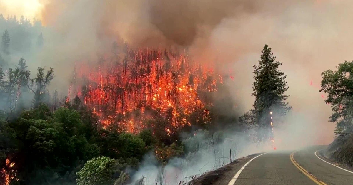 Scientists say world should prepare for climate endgame