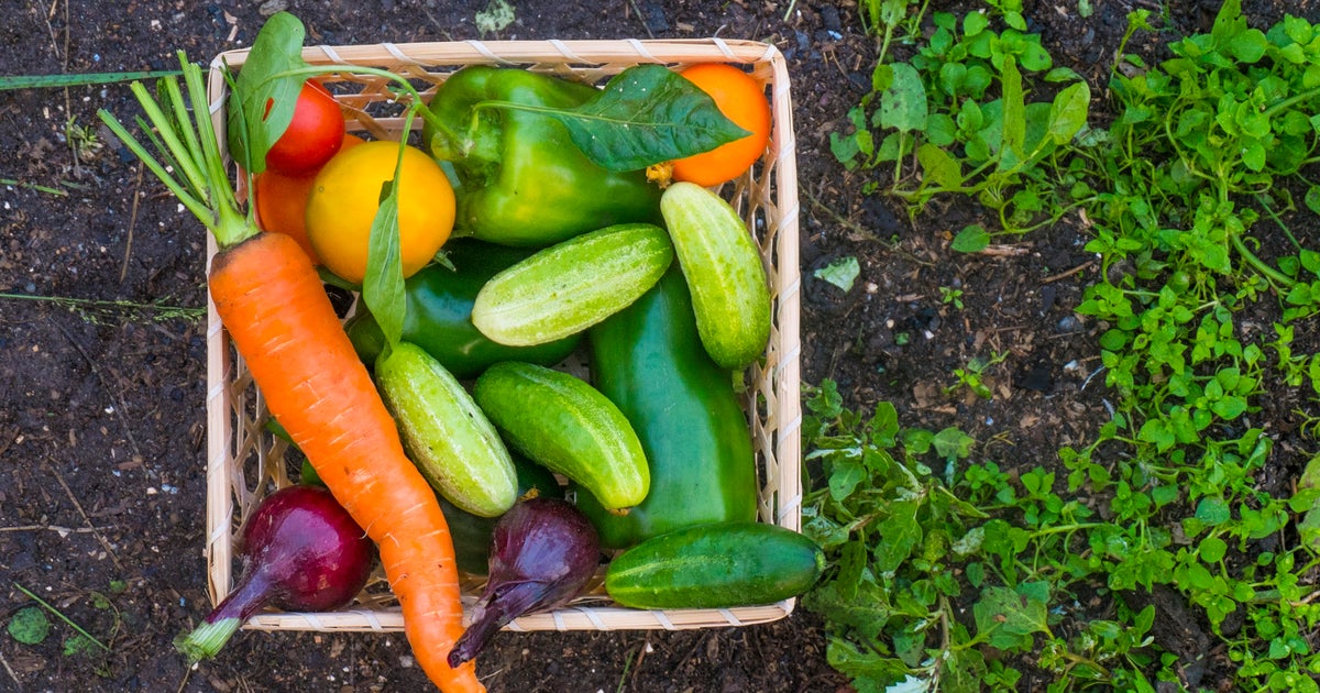 Michigan warns of produce possibly contaminated with human waste