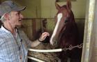 Rick Schosberg stands inside a stable next to a horse. 