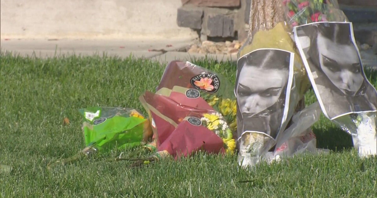 Domestic violence groups mourn deaths of Lindsay Daum & her daughter in Loveland: 'It is very real' - Vimarsana News
