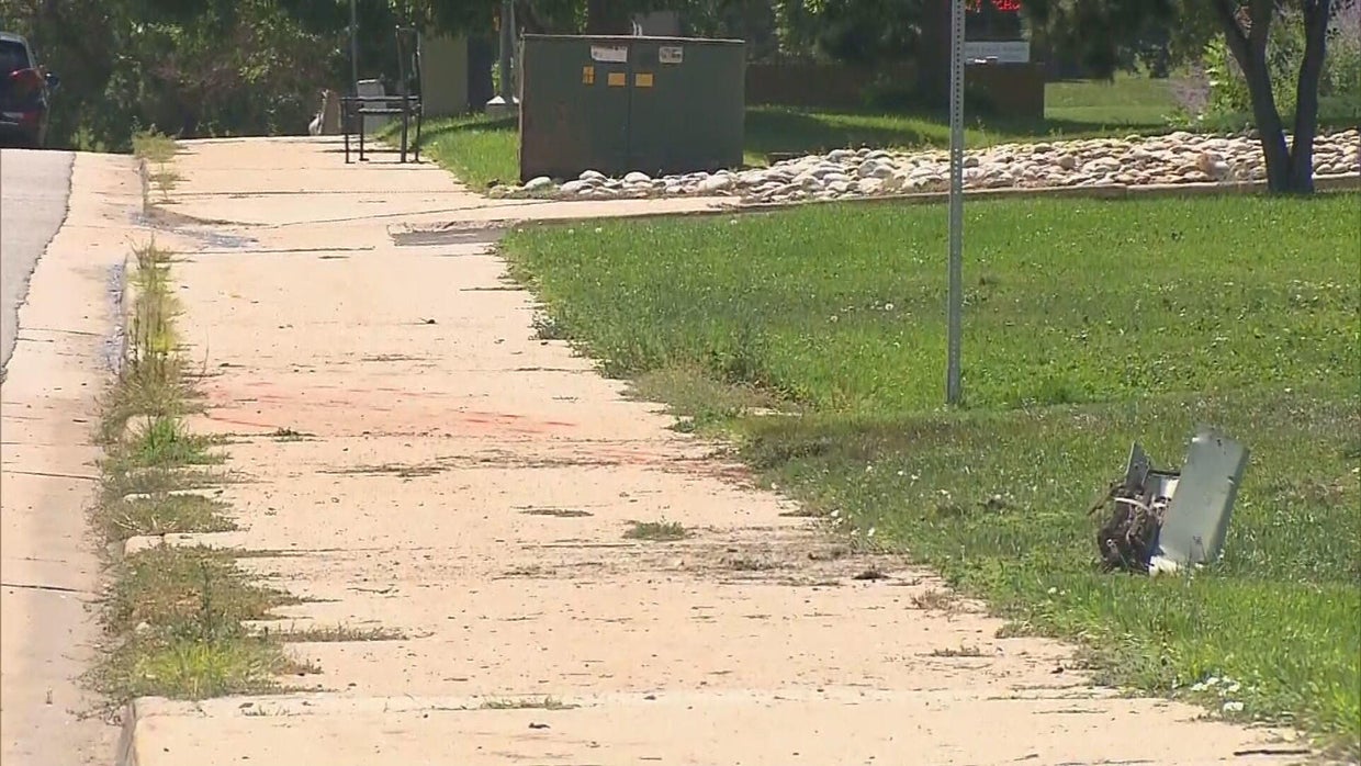 Search continues for hit & run driver who killed a man, 2 dogs on ...