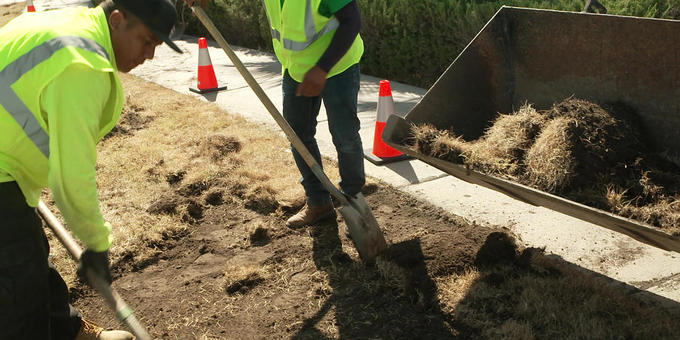 Due to climate change, Nevada says goodbye to grass 