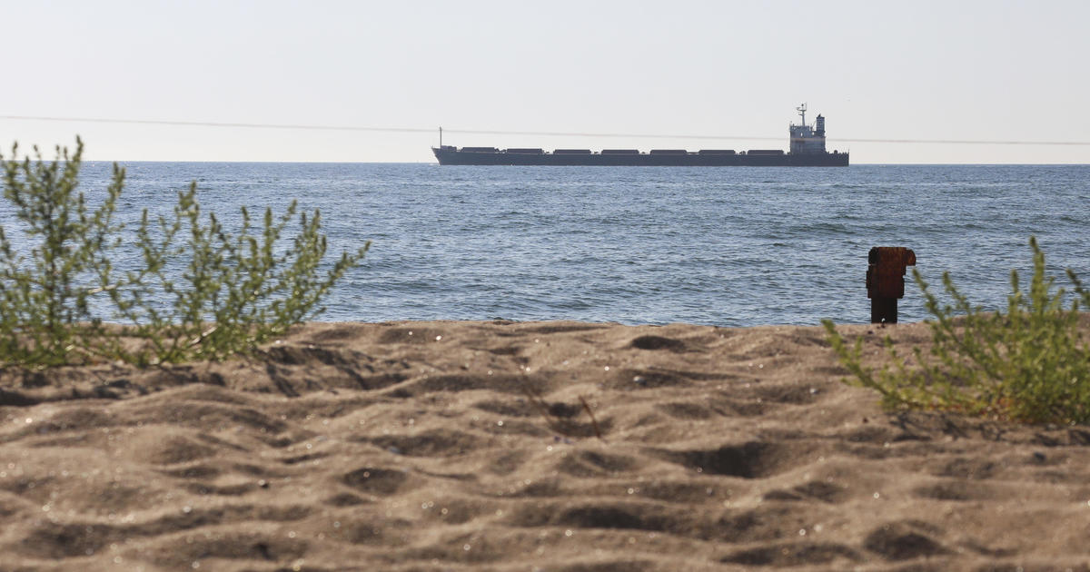 More grain ships leave Ukraine as part of deal to aid food crisis