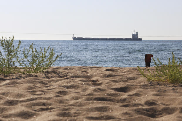 More grain ships leave Ukraine as part of deal to aid food crisis