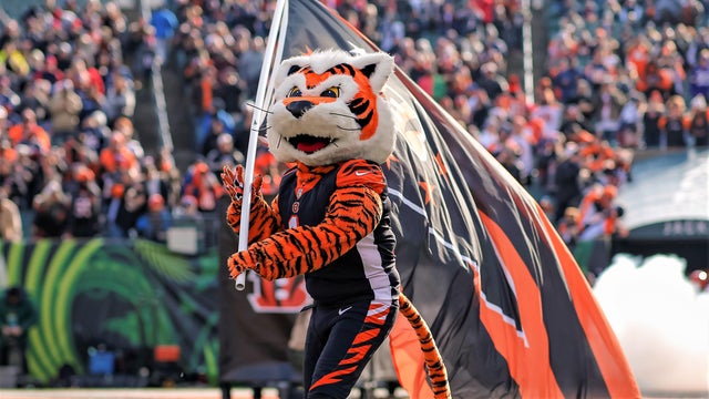 Bengals mascot 
