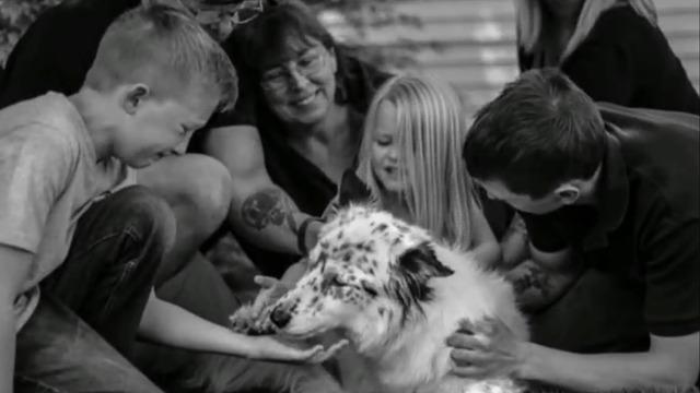 cbsn-fusion-photographer-captures-emotional-last-moments-between-pets-and-owners-thumbnail-1190251-640x360.jpg 