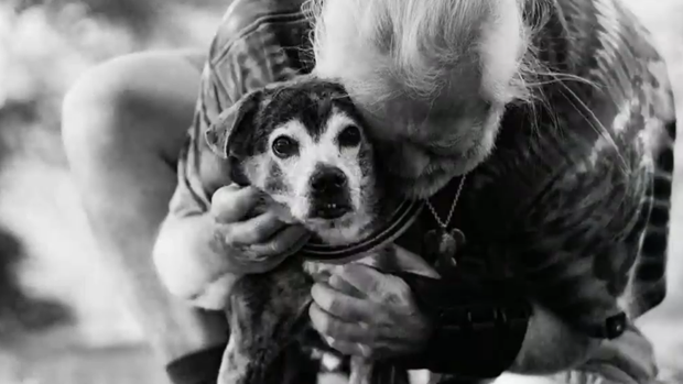 Photographer takes free photos of terminally ill pets: "A capture of my love" 