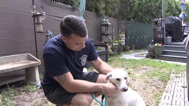 marine-reunited-with-dog-from-overseas-deployment.jpg 