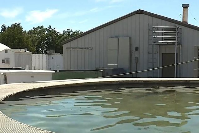 uc-davis-center-for-aquatic-biology-and-aquaculture.jpg 