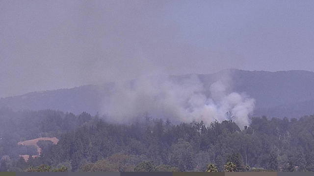Santa Cruz vegetation fire 