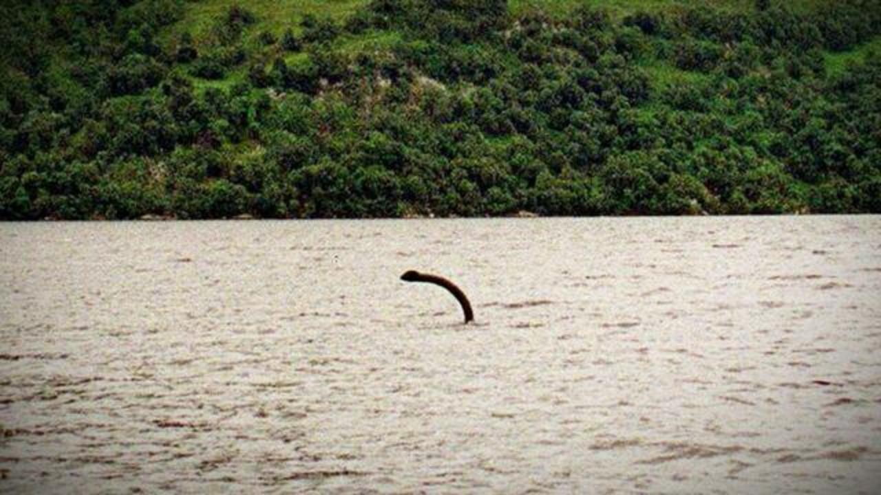 Thriller Bror Wreck Discovery fuels Loch Ness Monster believers - CBS News