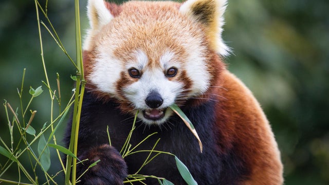 Assorted Location Shoots 