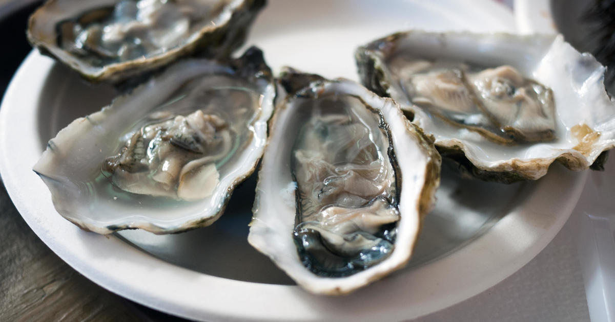 Man dies after eating raw oysters