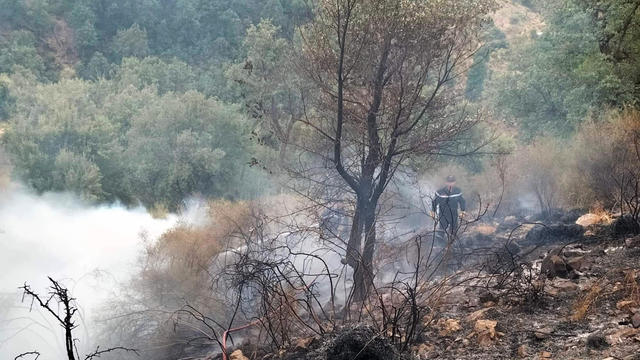 Wildfire in Algeria 