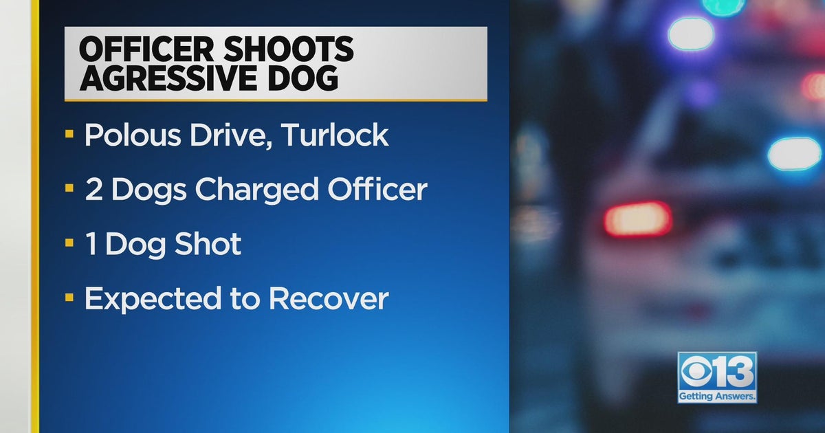 Turlock police officer shoots dog after it charges at the officer