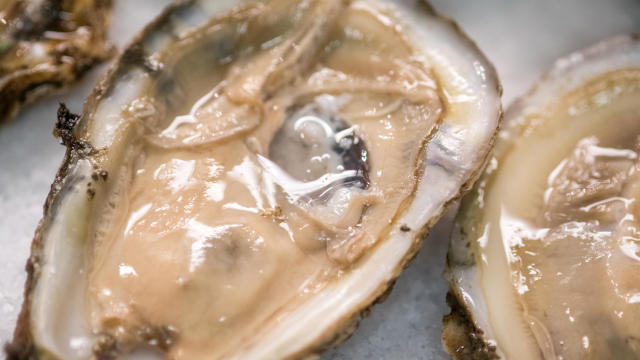 Freshly shucked wild oysters are seen at a restaurant in Baltimore. 