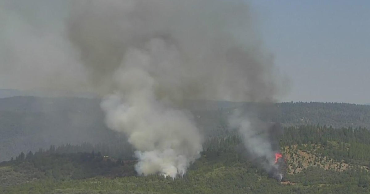 Pleasant Fire burning 30-40 acres in Nevada City