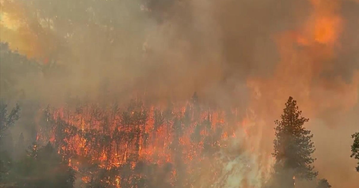 Mckinney Fire victims have been identified through DNA and dental analysis