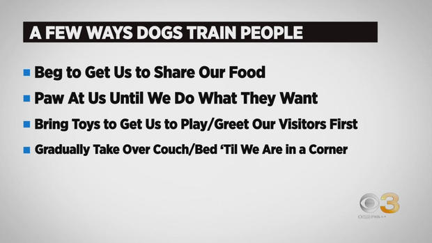 CBS3 Pet Project: Learn about how your dog is training you 