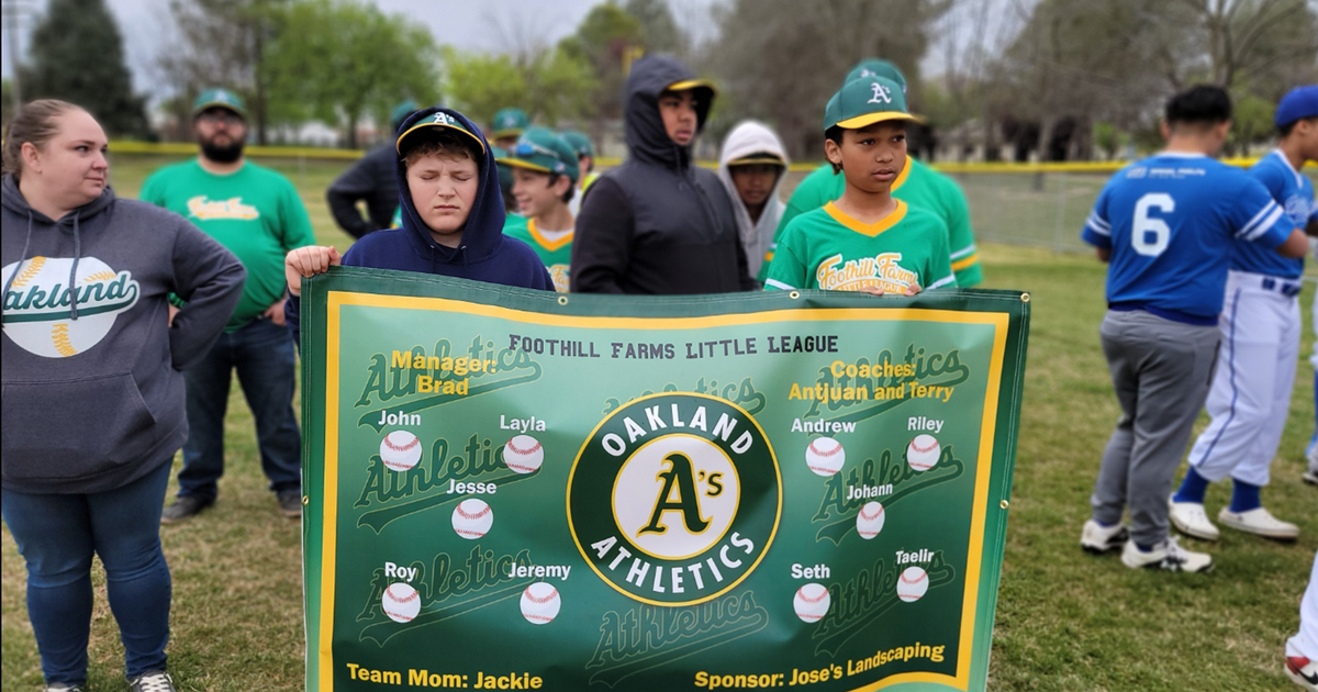 Foothill Farms-North Highlands Little League equipment stolen