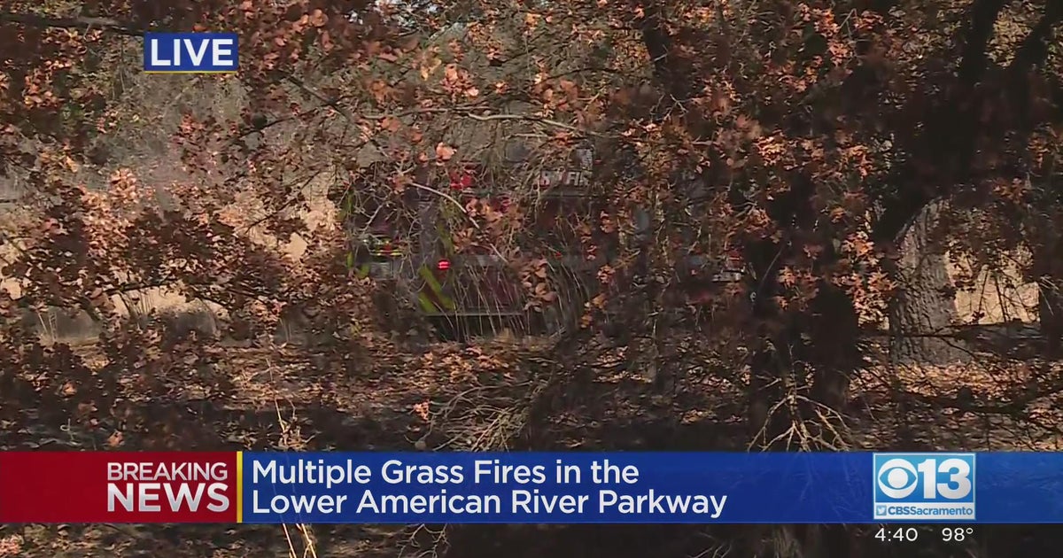 Firefighters mopping up after fires sparked in American River Parkway