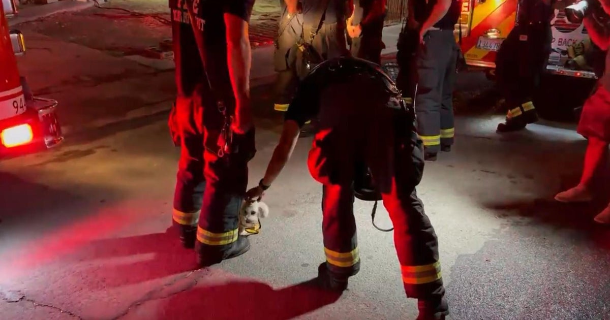 Firefighters retrieve dog from backyard after south Sacramento house fire
