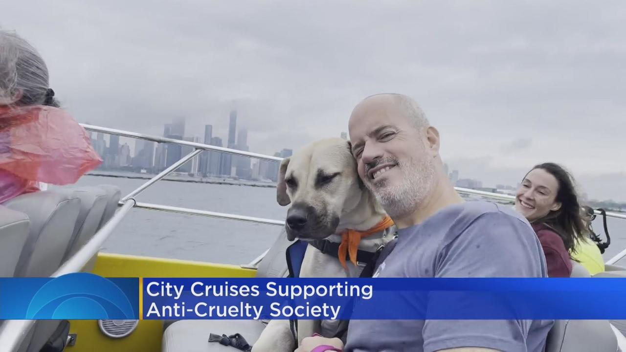 Seadog Cruises supporting Animal-Cruelty Society - CBS Chicago