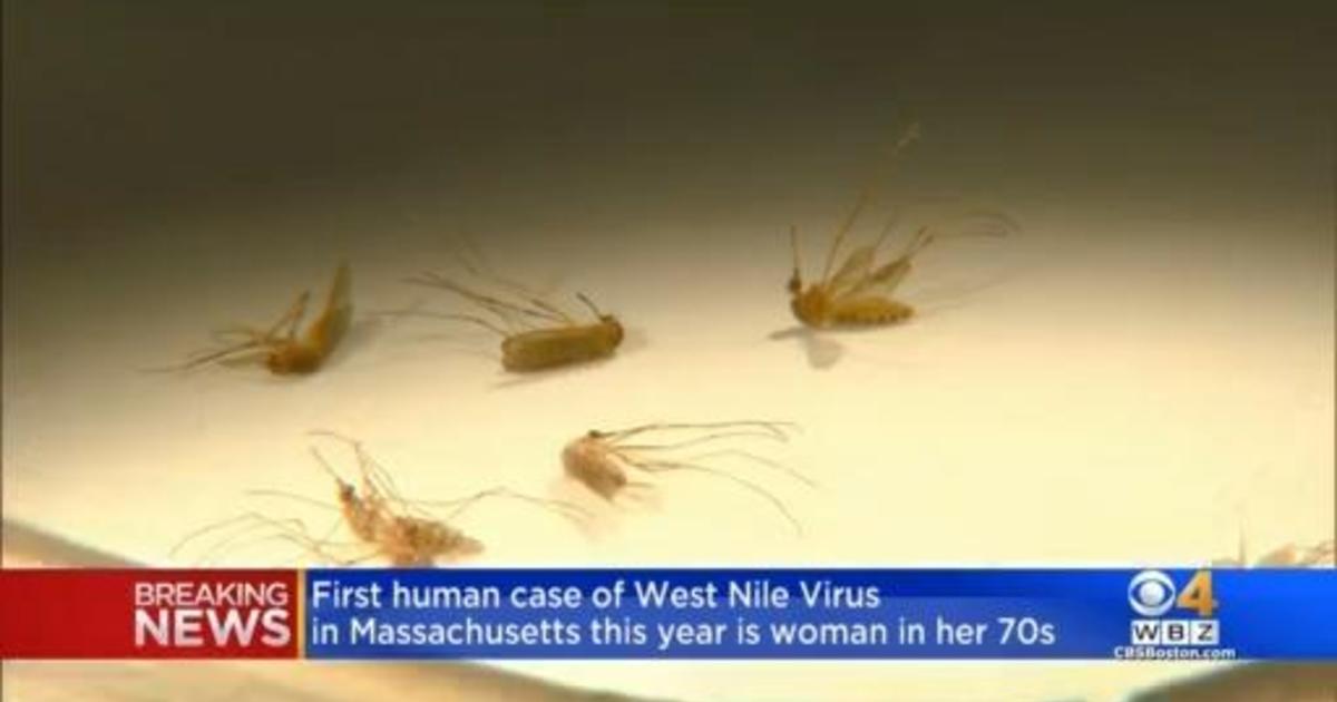 First 2022 human case of West Nile Virus reported in Massachusetts ...