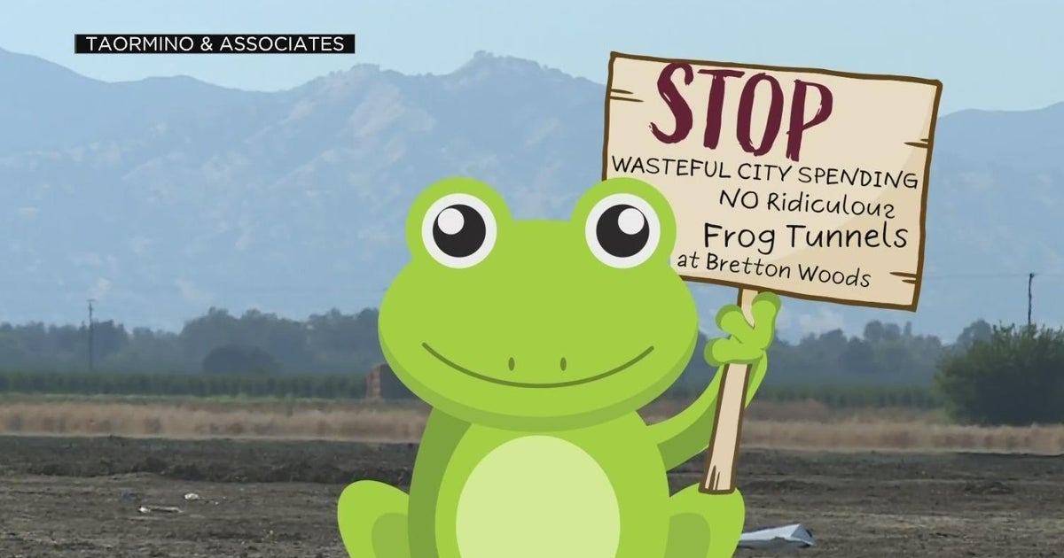 Land developer must build a tunnel for toads and other animals to cross through