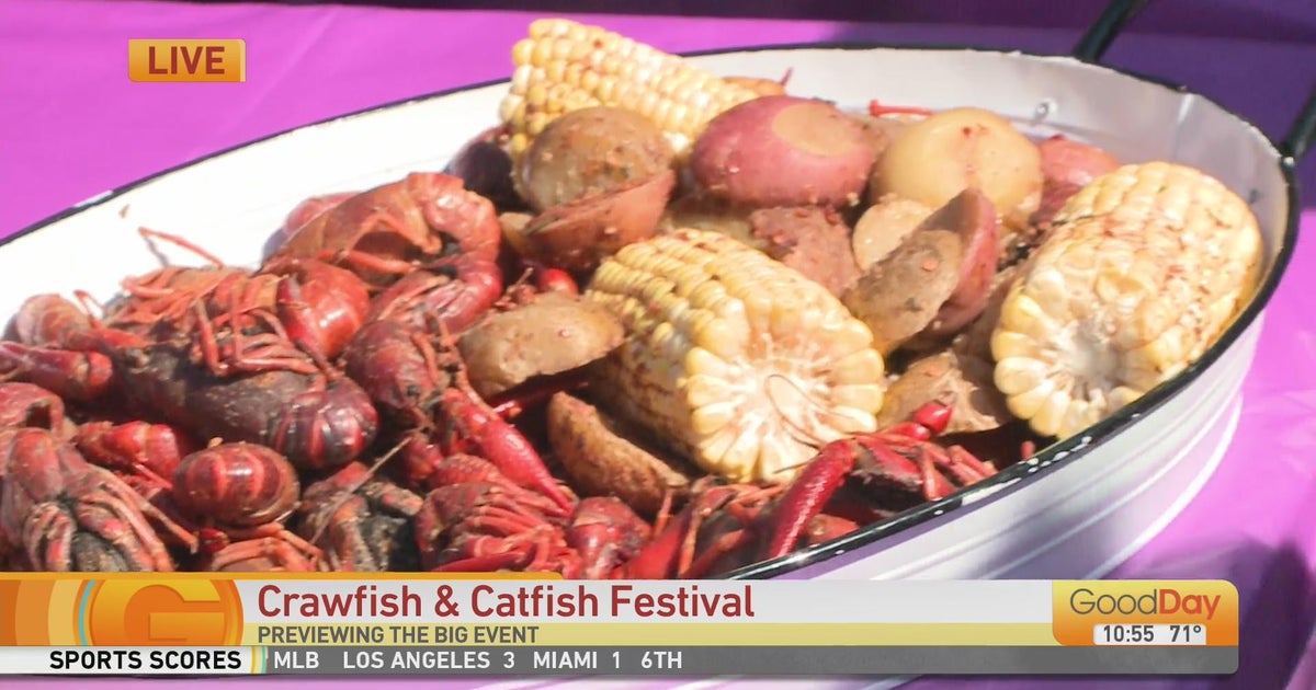 Crawfish & Catfish Festival, Part 2 Good Day Sacramento