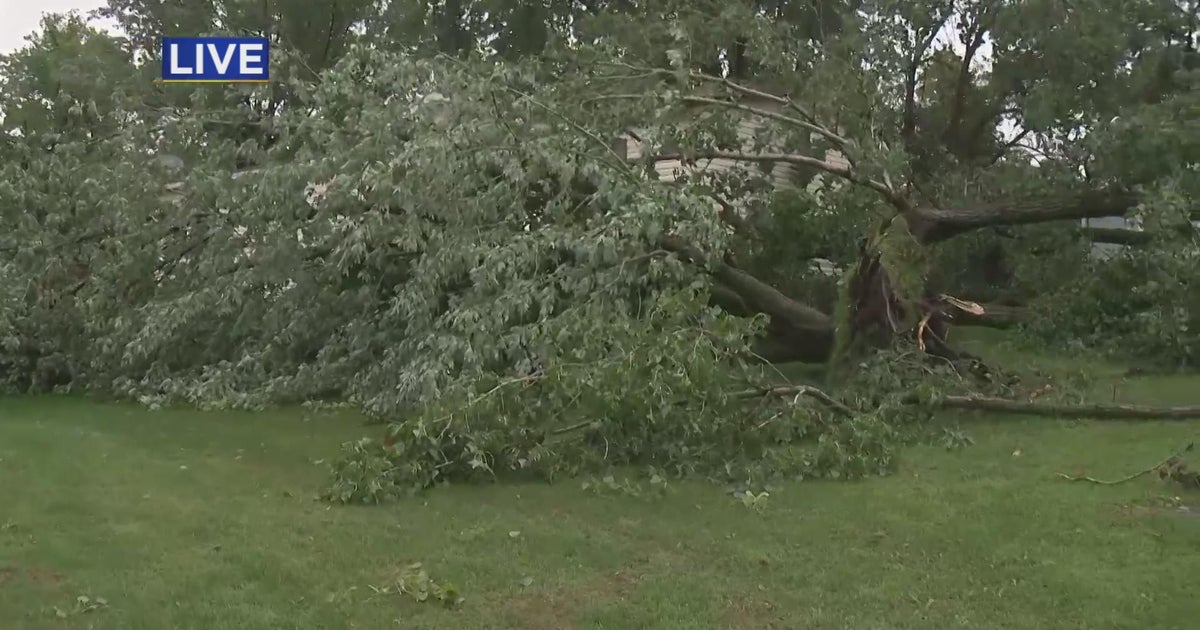 Cleanup underway after storms leave swath of damage in Apple Valley ...