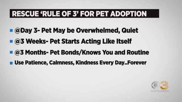 Rescue Rule of Three 