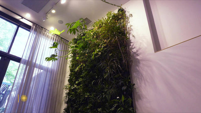 livingwall-1238169-640x360.jpg 