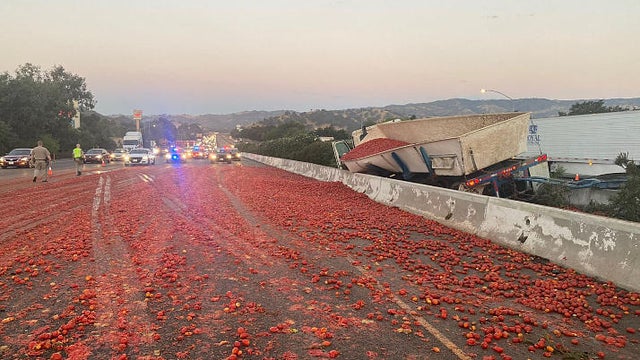 spilled-tomatos-chp-photo.jpg 