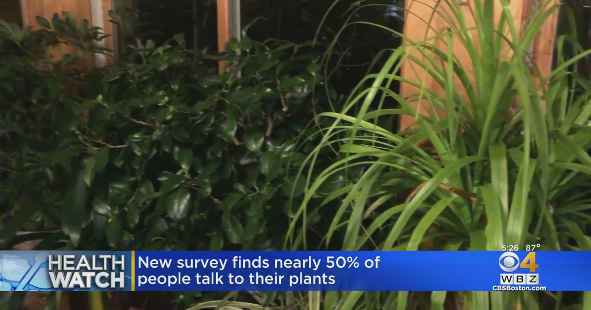 HealthWatch Embracing aging; benefits of paid sick time; and talking to plants CBS Boston