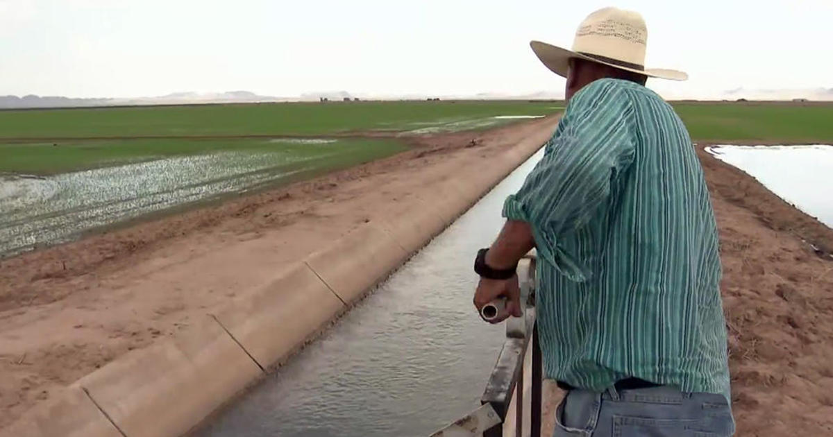 Debate grows over parched California’s thirsty crops