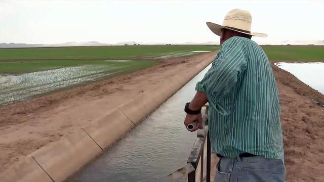 Irrigation in Southern California 