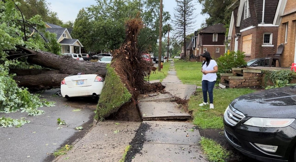 Woman displaced after tree falls on Detroit home during storm - CBS Detroit