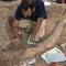 Massive ancient elephant tusk unearthed by archaeologists in Israel