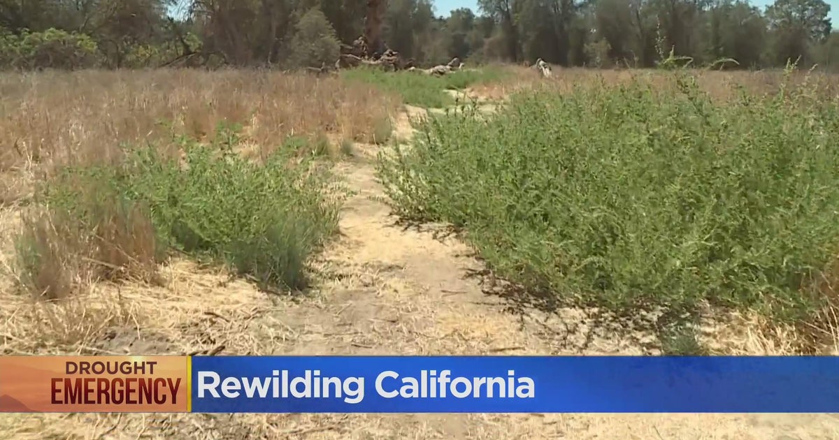Program plans how to restore waterstarved California farmland back to