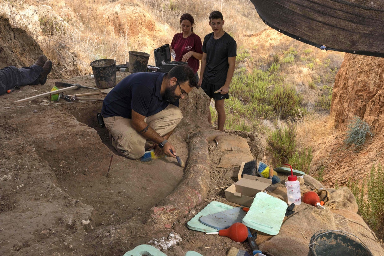ISRAEL-ARCHAEOLOGY 