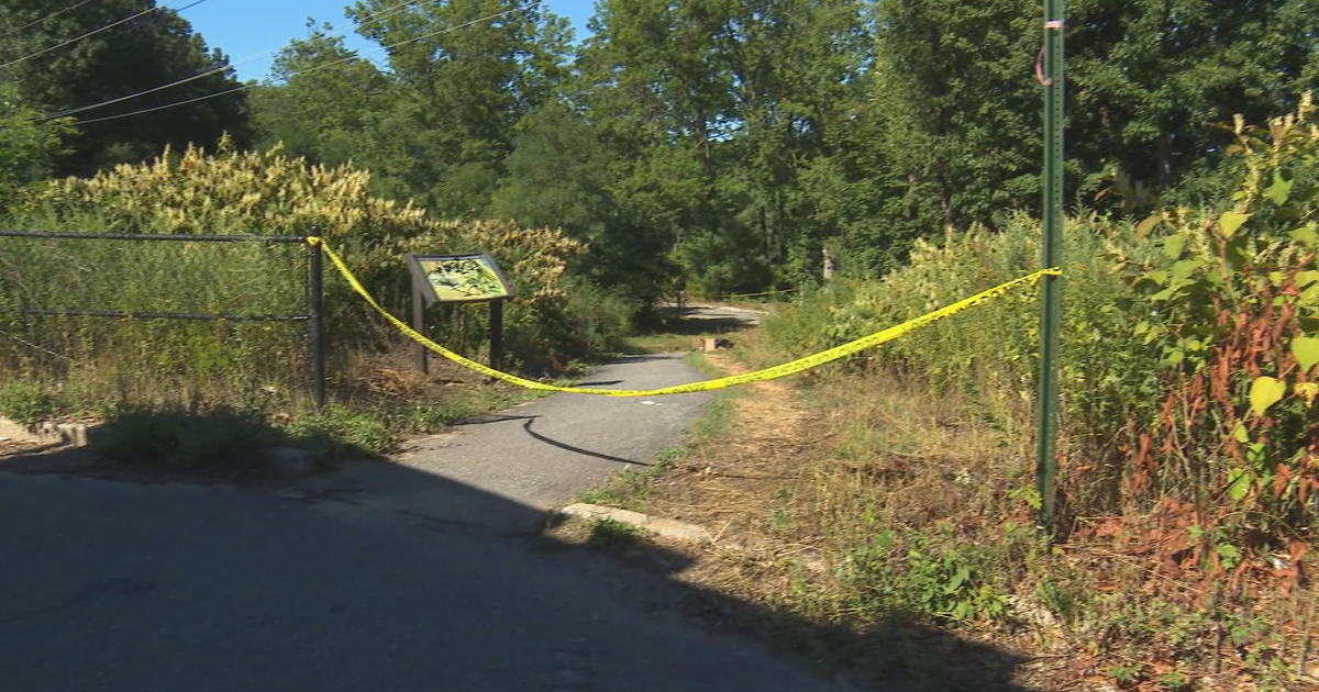 Arrest made after 75-year-old stabbed to death on Manchester, NH trail