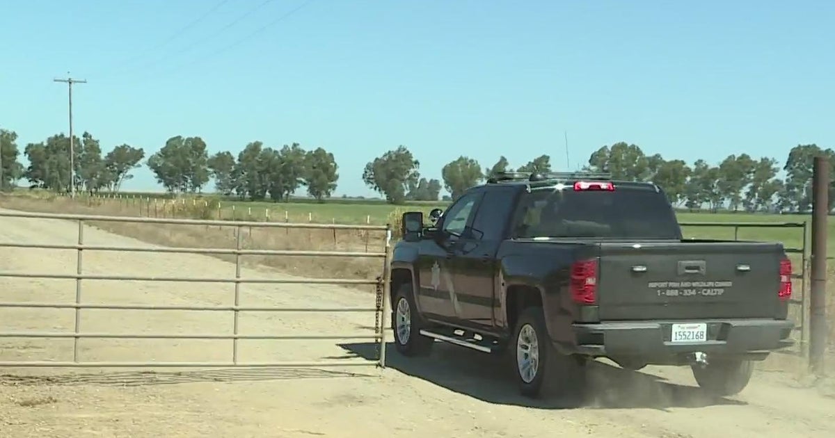 Two people are dead after a plane crash in Galt CBS Sacramento