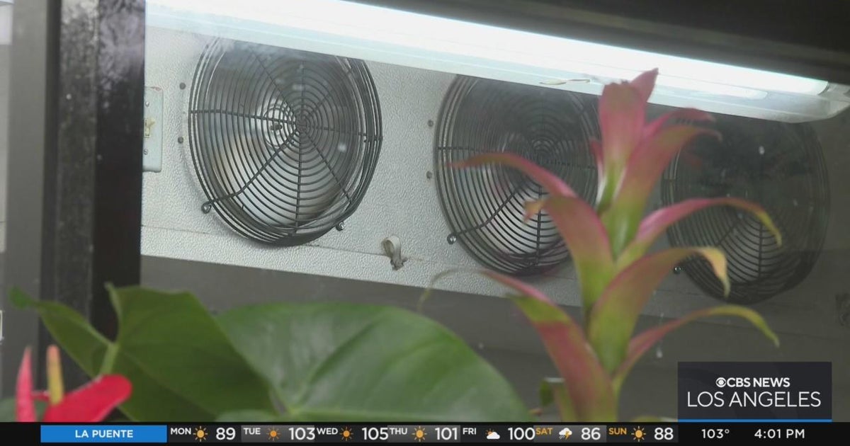 Flex alert extended for Labor Day, rolling blackouts are likely per CalIso CBS Los Angeles